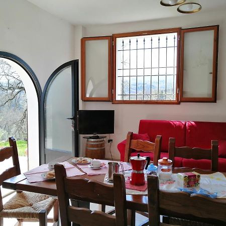 Appartement Casa Pancole Il Tinello à Cavriglia Extérieur photo